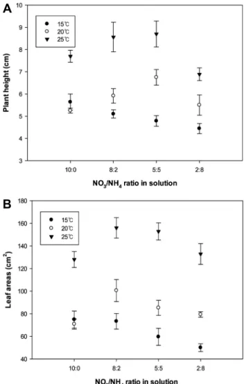 Fig. 1. Effects of solution temperature on plant height (A) and  leaf areas (B) of 35-days-old cucumber seedlings grown with  solutions containing different NO 3 - :NH 4 +  ratios