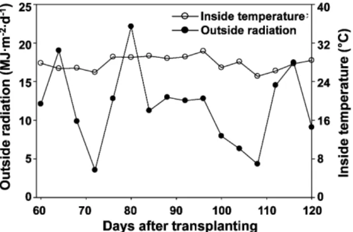 Fig. 1. Changes in indoor temperature and solar radiation during  the treatment period.