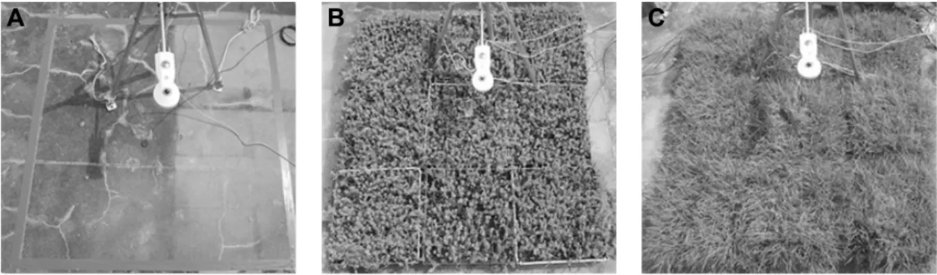 Fig. 2. Measurement of heat budget and temperature in control and experimental plots. (A) control; (B) Sedum sarmentosum; 