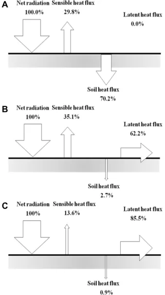 Fig. 7. Schematic diagram of heat budget of control and experi- experi-mental plots at 1 P.M