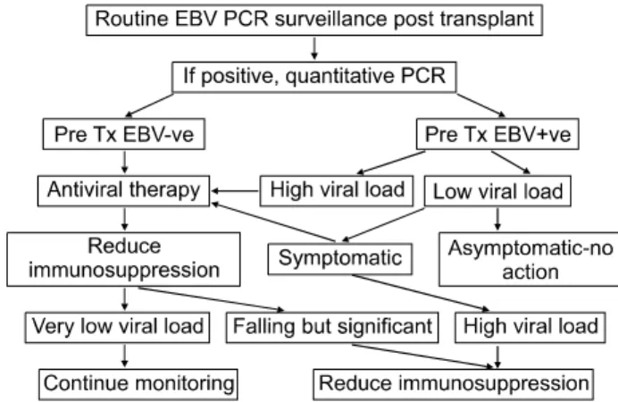 Table  2.  Clinical  and  pathologic  spectrum  of  PTLD  and  its  management(32)