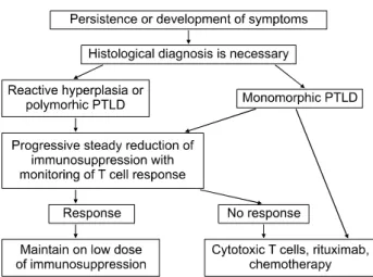 Fig.  4.  Rituximab:  three  potential  mechanisms  of  action  include  apoptosis,  complement  activation  and  antibody-dependent 