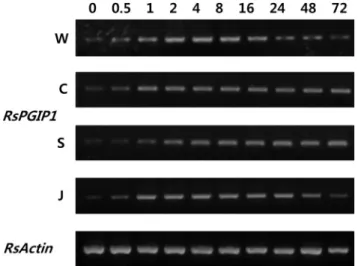 Fig. 6. Effect of mechanical wounding, low temperature, salt,  and jasmonic acid treatments on the RsPGIP1 gene induction