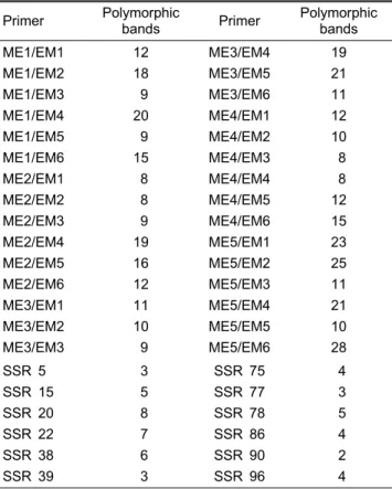 Fig. 2. SSR band pattern produced by SSR 20 primer in  Phalaenopsis varieties. M, 100 bp DNA ladder
