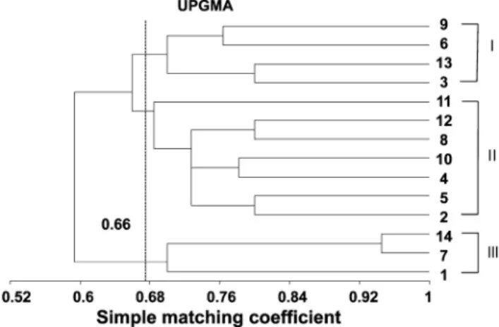 Fig. 3. Dendrogram of 14 Phalaenopsis  varieties based on  UPGMA generated by cluster analysis of genetic similarity  using SRAP.