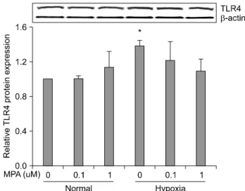 Fig. 4. Effect  of  rapamycin  on  mRNA  protein  expressions  in  normal and hypoxic conditions of HK-2 cells