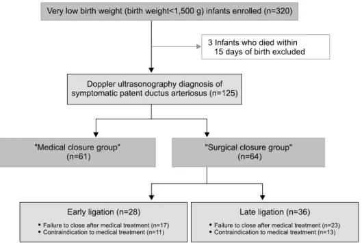 Fig. 1. Flow diagram of the study  patients.