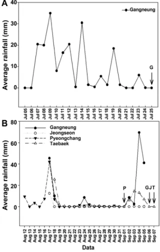 Fig. 1. Changes in average rainfall during 20 days cultivation  before harvest of Kimchi cabbage cultivars grown on highland  areas in summer 2011