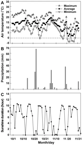 Fig. 1. Daily changes in air temperature (A) and precipitation  (B) at the experimental site and sunshine duration (C) at  Gimhae meteorological observatory, about 17 km away from  the site