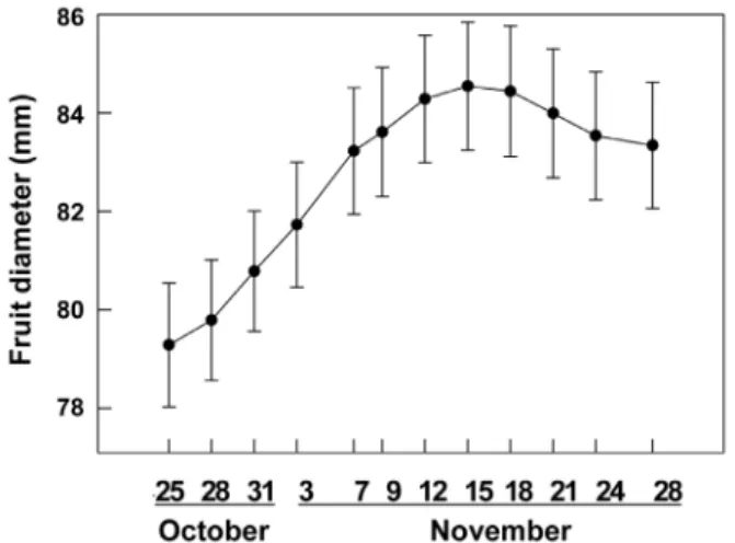 Fig. 4. Daily changes in fruit weight calculated from fruit diameter of ‘Fuyu’ persimmon on the branches that had been covered  with non-woven fabrics after Oct