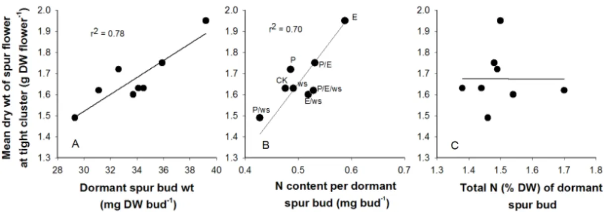 Fig. 4. Relationships between mean dry weight of spur flowers at the tight cluster stage and (A) dry weight of mean dormant  spur buds or (B) N content per dormant spur bud or (C) total N concentrations of dormant spur bud in ‘Golden Delicious’ apple  tree