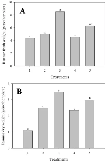 Fig. 6. Influence of Ca application in propagation of ‘Seolhyang’