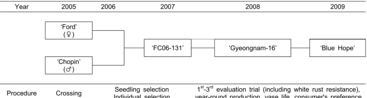 Table 1. Inherent morphological and characteristics of a spray chrysanthemum ‘Blue Hope’.