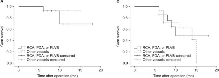 Fig. 8. Kaplan-Meier curve of (A) graft patency and (B) the patency of the grafted coronary vessels for endarterectomized vessels that un- un-derwent angiography at a follow-up visit, separated into grafts on the RCA, the PDA, or the PLVB, and grafts on ot