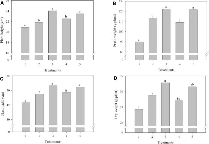 Fig. 1. Influence of Ca application in soil propagation of 