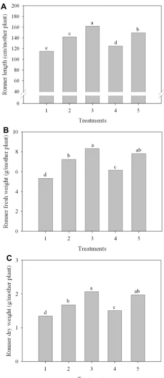 Fig. 4. Influence of Ca application in propagation of ‘Seolhyang’