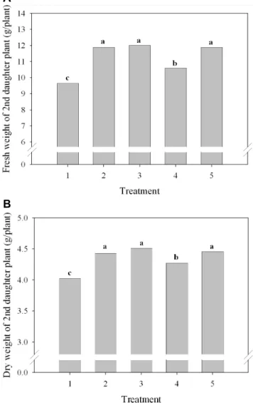 Fig. 6. Influence of Ca application in propagation of ‘Seolhyang’