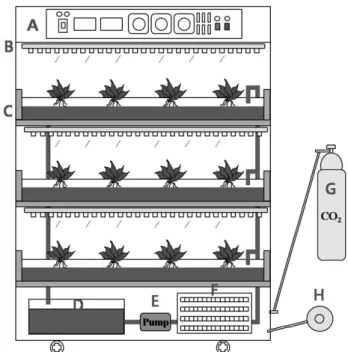 Fig. 1. Schematic diagram of a recirculating ebb and flow  hydroponic system in the closed-type plant production  system