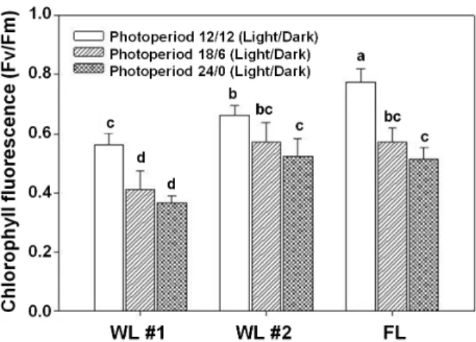 Fig. 4. Total anthocyanin content as affected by light source  and photoperiod of lettuce grown in a closed-type plant  production system