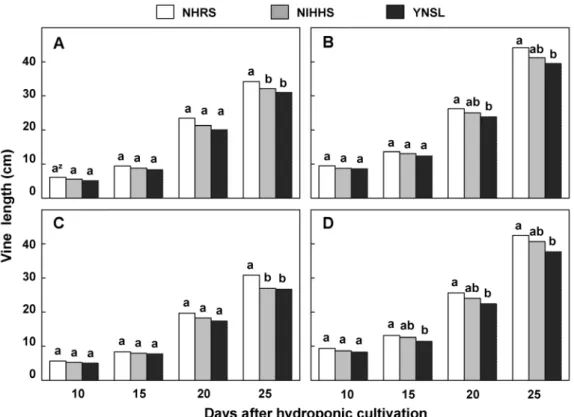 Fig. 1. Effects of cutting source and nutrient solution composition on vine length of virus-free sweet potato plant in NFT hydroponic  cultivation