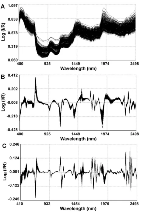 Fig. 1. Original absorbance (A), first derivative (B) and second derivative spectra (C) of kiwifruits.