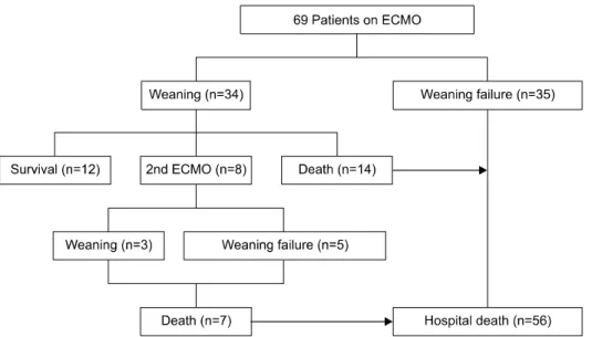 Fig. 1. Flow chart of in-hospital out- out-comes. ECMO, extracorporeal  mem-brane oxygenation.
