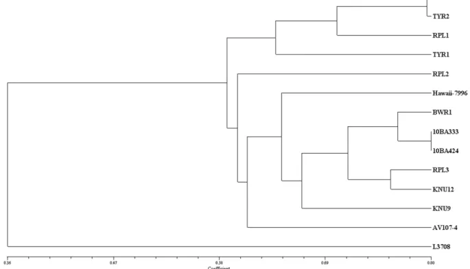 Fig. 2. A dendrogram showing the genetic relationship among 14 tomato cultivars and related species as revealed by 108 tomato  SSR markers.