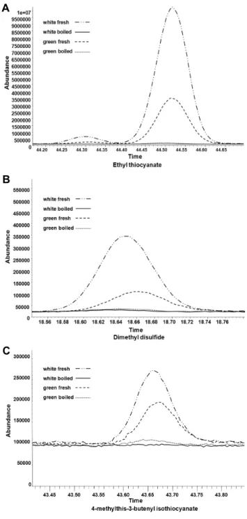 Fig. 1. GC/MS chromatograms of sulfur compound profiles in  radishes. A, Ethyl thiocyanate; B, Dimethyl disulfide; C,  4-methylthis-3-butenyl  isothiocyanate; white, white part of the  radish; green, green part of the radish.