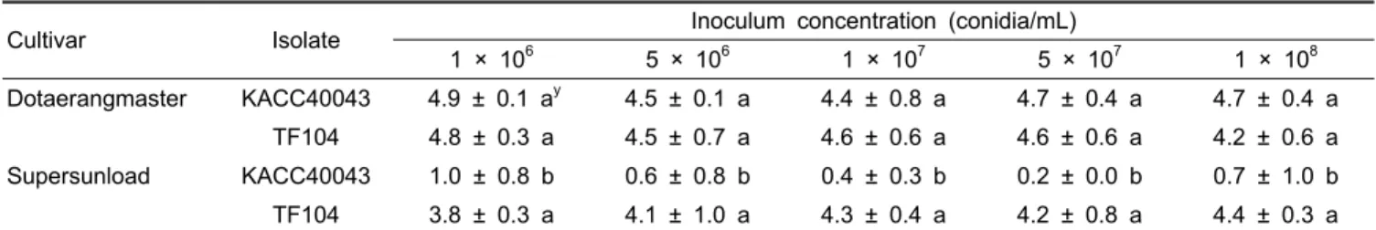 Table 4. Development of Fusarium wilt on two tomato cultivars according to inoculum concentration z 
