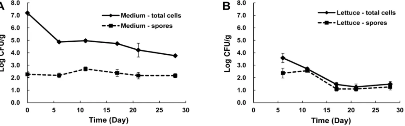 Fig. 2. Survival of total cells and spores of B. cereus in medium (A) and lettuce (B) after planting seeds in contaminated medium