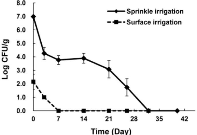 Fig. 5. Survival of Escherichia coli on lettuce applied by  sprinkling and surface irrigation with contaminated water
