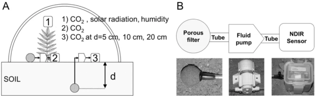 Fig. 1. Overall data collection scheme (A). Diagram explaining measurement of CO 2  concentration at different soil depths in the  soil (B).