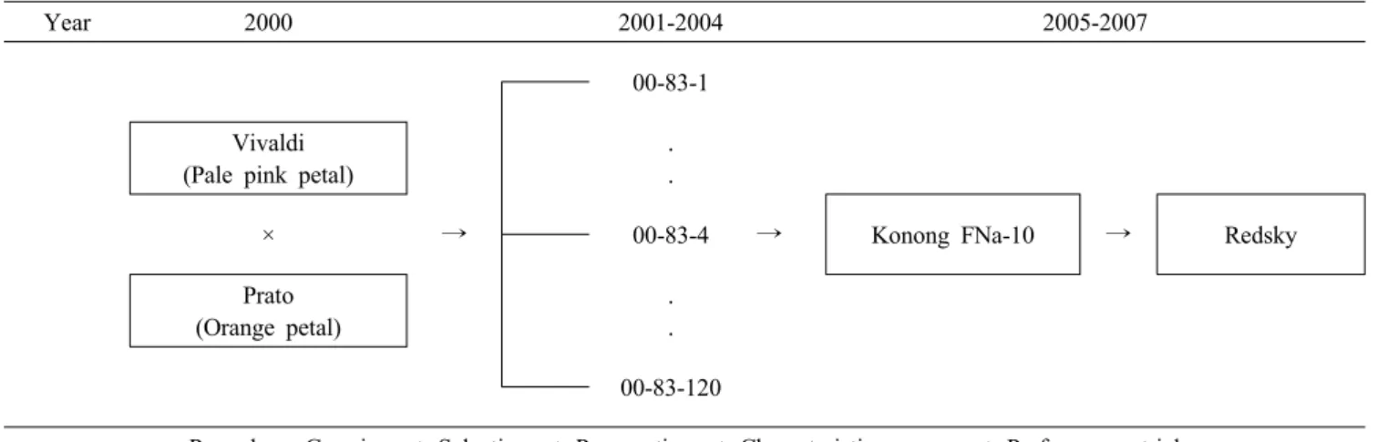 Table 1. The original characteristics of a new Asiatic lily, ‘Redsky’. 