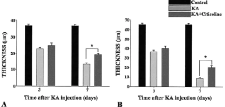 Fig. 3. (A)  Qualification  of  changes  in  the  thickness  of  the  inner  nuclear  layer  (INL)  in  each  group  at  3  and  7  days  after  KA  injection