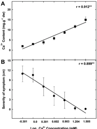 Fig. 1. The effect of calcium concentration in the nutrient solution  on calcium uptake (A) and soft rot infection (B) in young Chinese  cabbage plant grown hydroponically