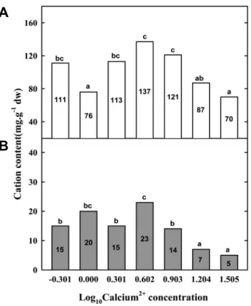 Fig. 3. The effect of chitosan concentration on dry mass (A),  calcium content (B), and soft rot infection (C) in young Chinese  cabbage plant grown hydroponically