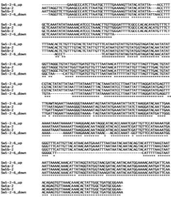 Fig. 1. PCR amplicons of Sw5-2 SCAR marker in tomato  accessions. M to 7 indicate a size marker (100 bp ladder,  Bioneer, Korea), IT 033054, IT 033063, IT 033072, IT 033196,  IT 033226, 09-483 (‘Eureta’), and 09-484 (‘Savera’), respectively