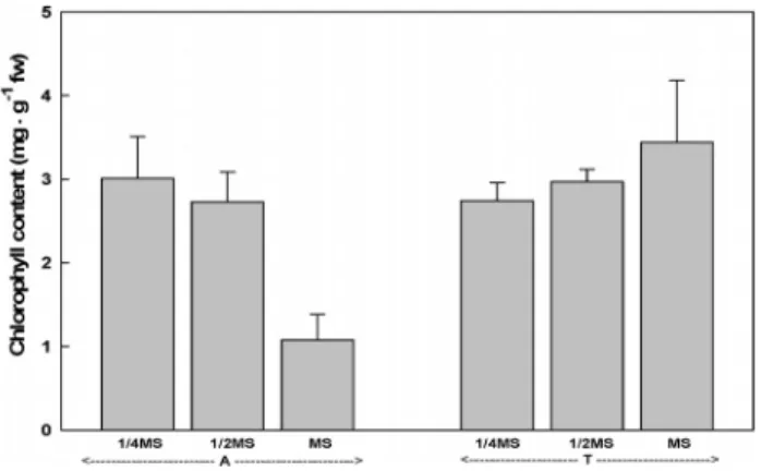 Fig. 5. Chlorophyll content of area of Fragaria × ananassa