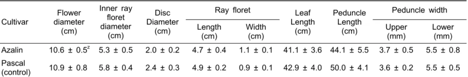 Table 3. Days to first blooming, vase life, yield and preference of the new gerbera cultivar ‘Azalin’.
