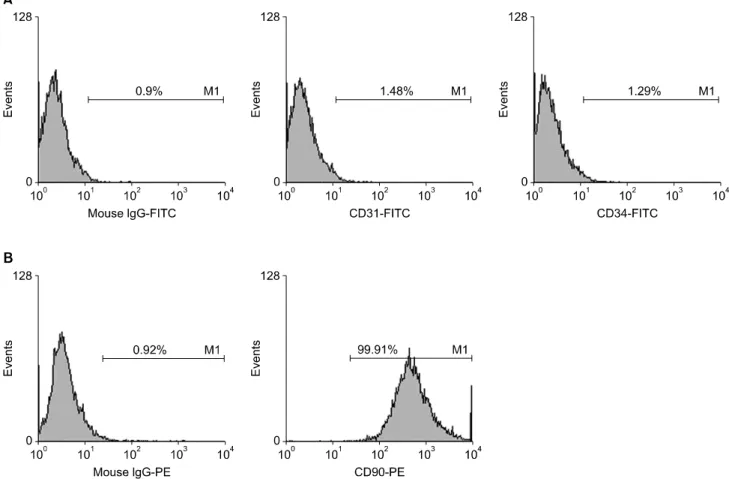 Fig. 1. The expression of cell surface markers in adipose tissue-derived stem cells (ASCs)