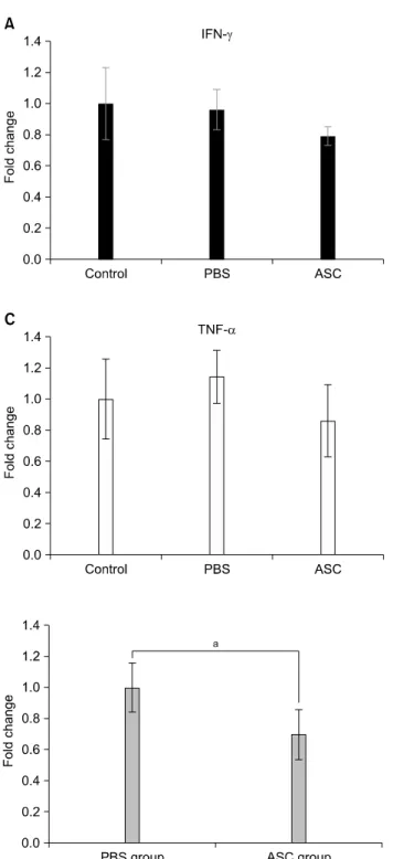 Fig. 5. Mixed  lymphocyte  reaction  at  day  30  posttransplan- posttransplan-tation
