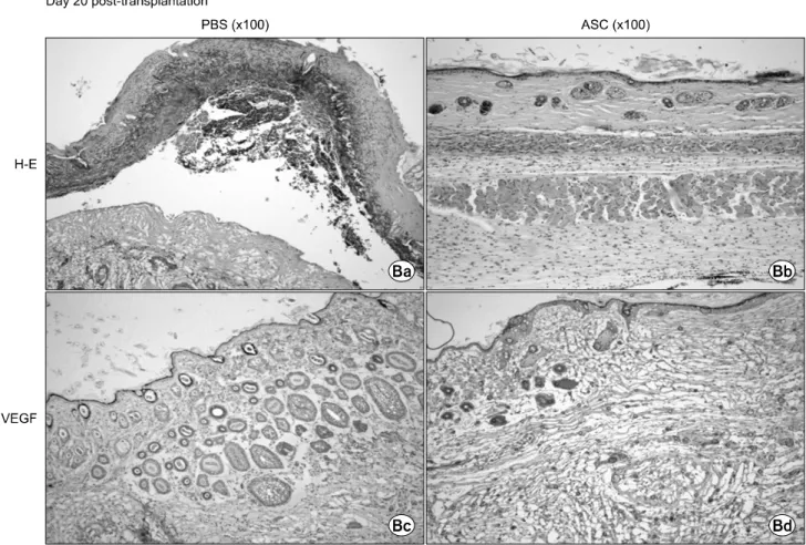 Fig. 6. Continued.