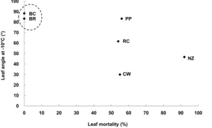 Fig. 7. Relation between leaf mortality and leaf angle at -10℃. Fig. 8. Relation between leaf mortality and leaf curling at -10℃.