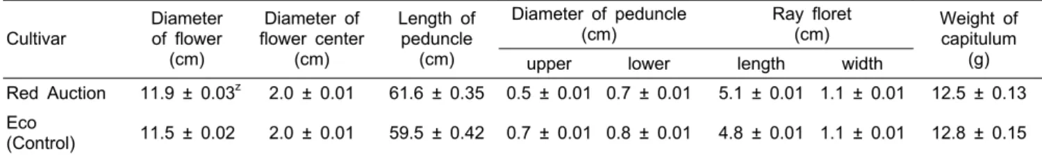 Table 3. Blooming, yield and vase life of ‘Red Auction’.