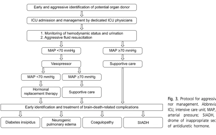 Fig. 3. Protocol for aggressive do- do-nor  management.  Abbreviations: 