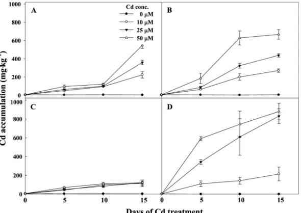 Fig. 4. Cadmium (Cd) accumulation in the shoots and roots of Iris pseudacorus (A: shoot, B: root) and Acorus calamus (C: shoot,  D: root) grown hydroponically with respect to the cadmium concentration