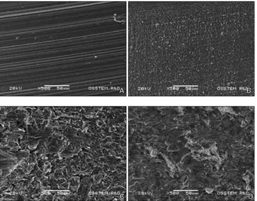 Fig 5. SEM image of orthodontic mini implants (× 500). A, Machined surface; B, acid etched surface; C, RBM surface; 