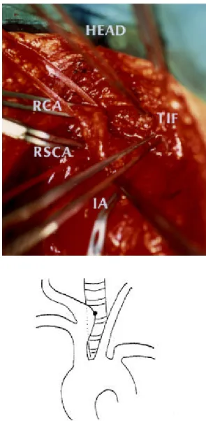 Fig . 1. Ope ra tive fie ld