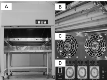 Fig. 2. The vertical and horizontal profiles of light intensity in  UVs-A (A), B (B), and C (C).