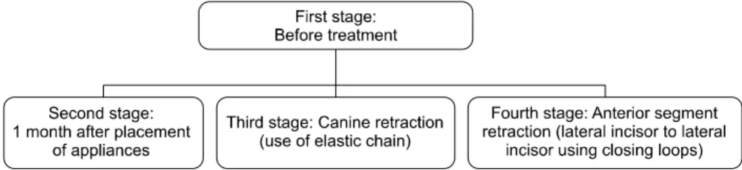 Fig 1. Diagram over four stages of study.